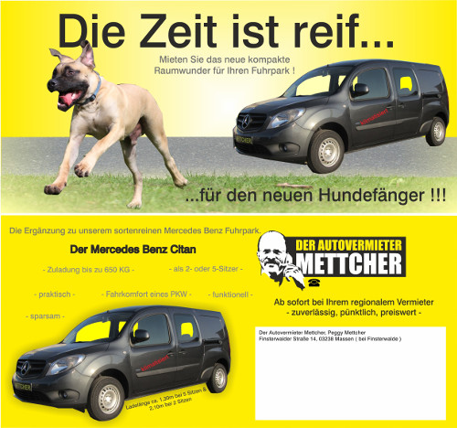 Vorstellung Citan